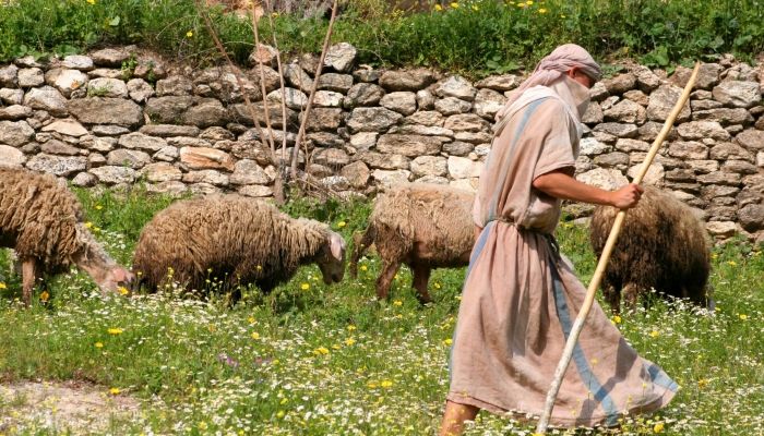 Jesus our Good Shepherd 