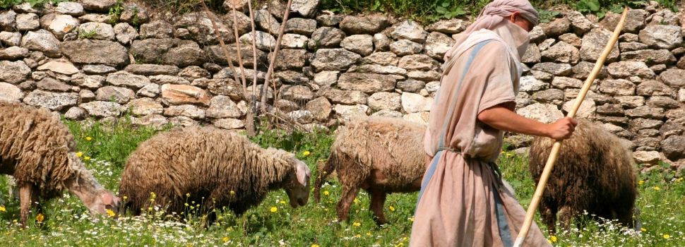 Jesus our Good Shepherd 